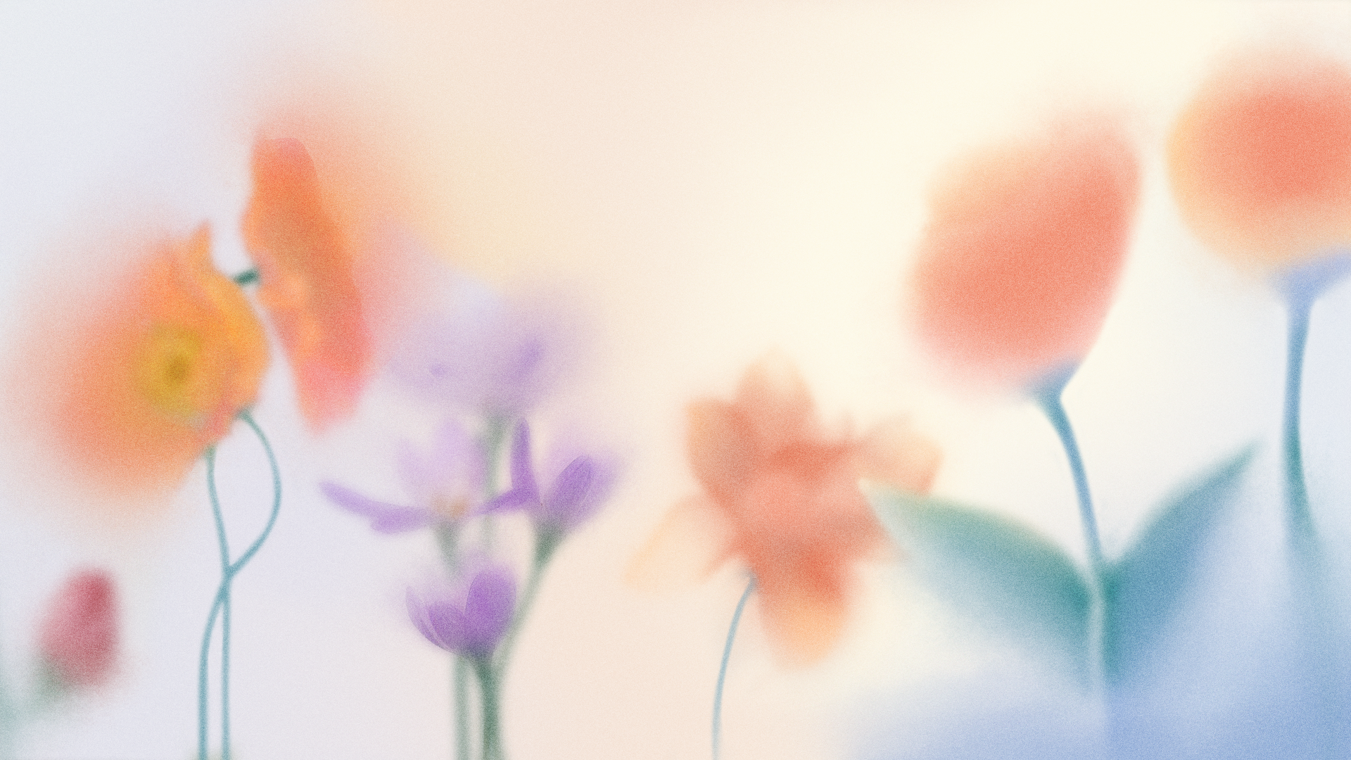 Изображение слайда №1.